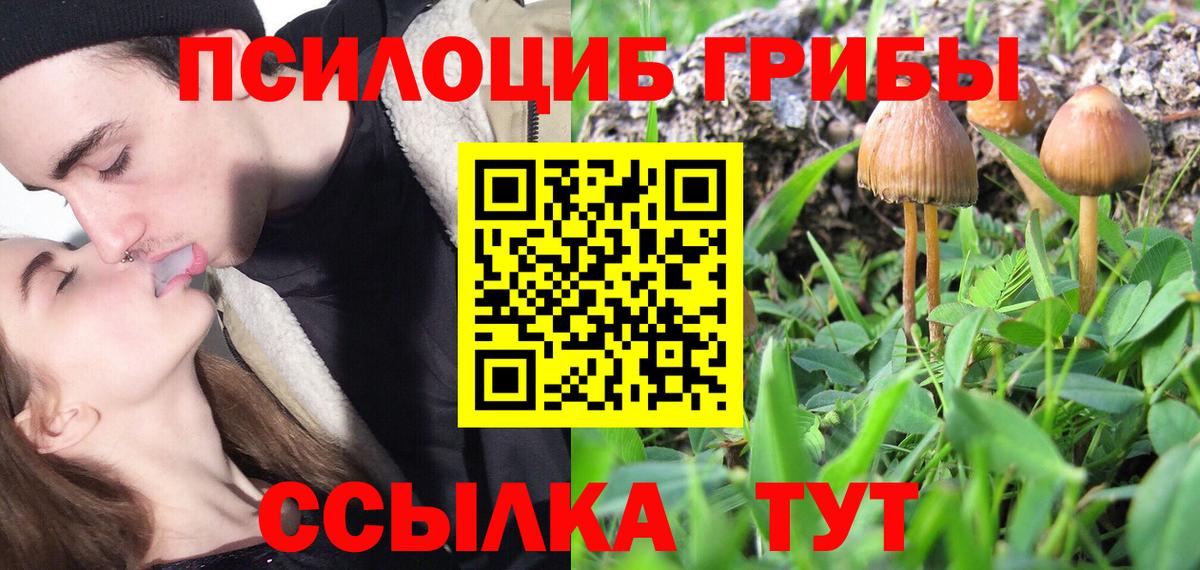 Галлюциногенные грибы Cubensis  Псилоцибиновые грибы Magic Shrooms  Таганрог  Вход с VPN 